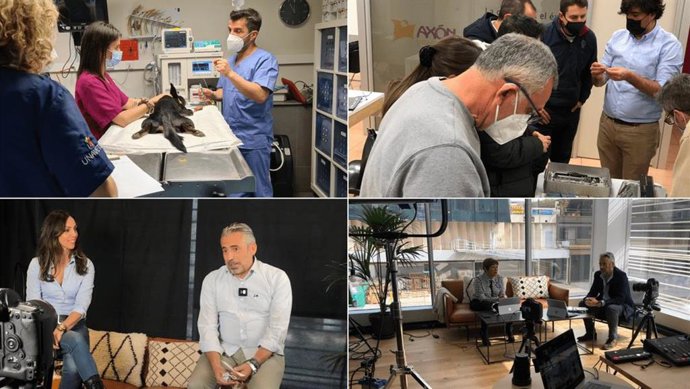 Formación en UNAVETS.