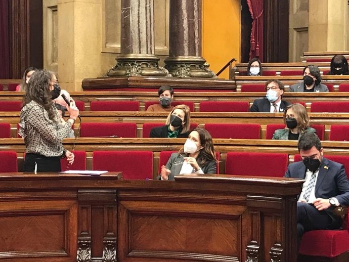 La consellera d'Igualtat i Feminismes de la Generalitat, Tnia Verge, en el ple del Parlament