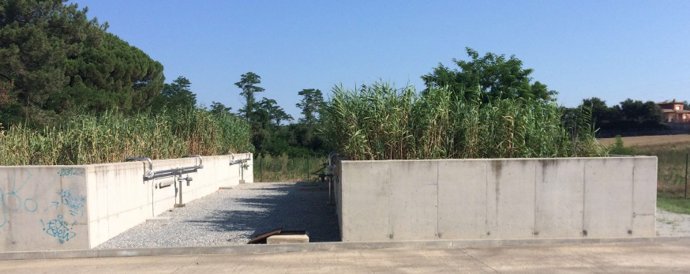 Tratamiento de lodos