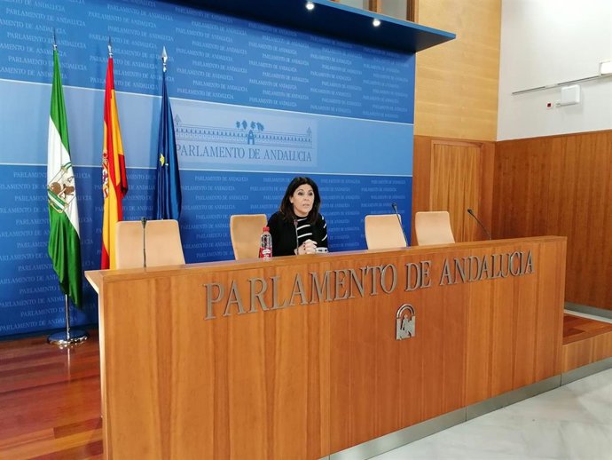 La portavoz del PSOE en el Parlamento de Andalucía, Ángeles Férriz, este miércoles en rueda de prensa.