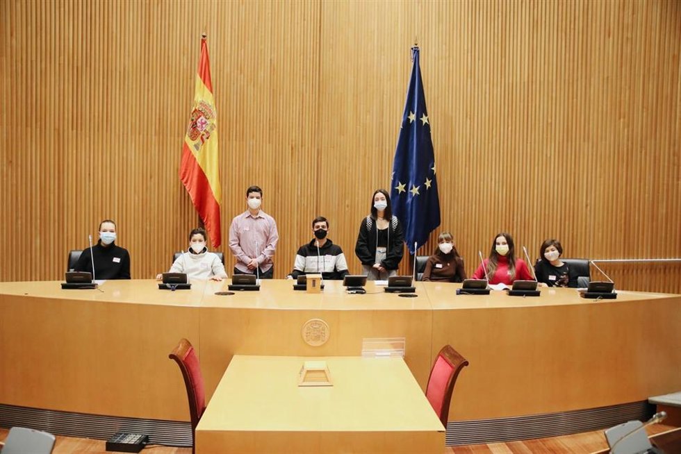 Los niños y niñas que han comparecido este miércoles ante la Comisión de Derechos de la Infancia en el Congreso.