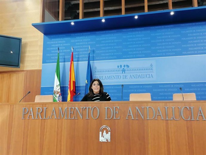 La portavoz parlamentaria del PSOE de Andalucía, Ángeles Férriz, este miércoles en rueda de prensa.