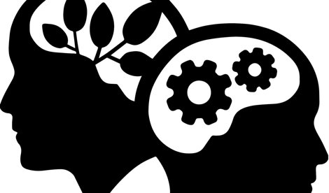 Comunicados Internacional