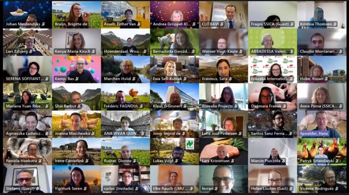 Reunión telemática del proyecto europeo 'mEATquality'.