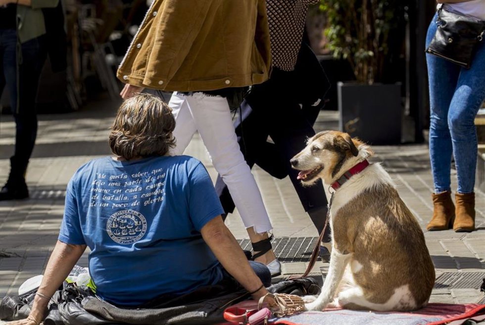 Una persona y su perro