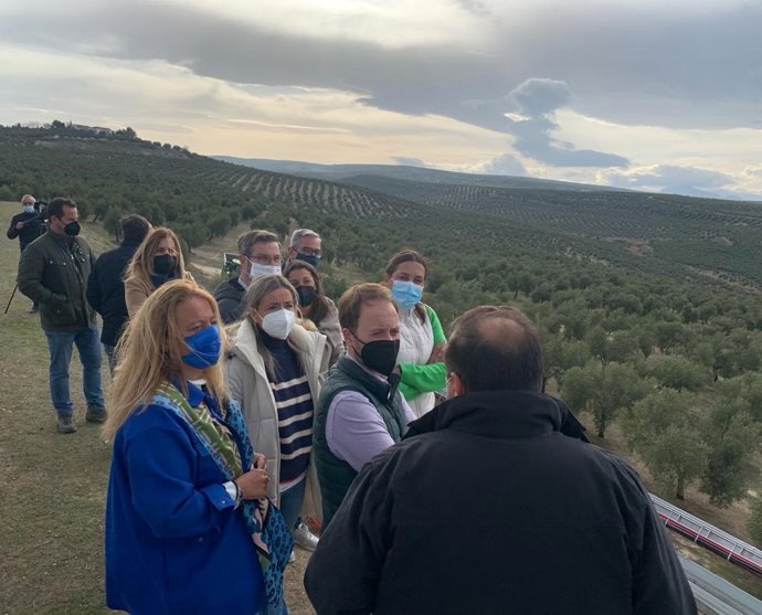 Visita a un tajo de aceituna en Ibros