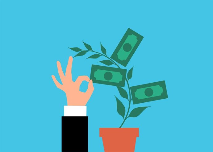Economía verde, Leslie Shasha.