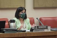 Darias tranquiliza sobre la subvariante de ómicron: "La información que tenemos es que se comporta parecido"