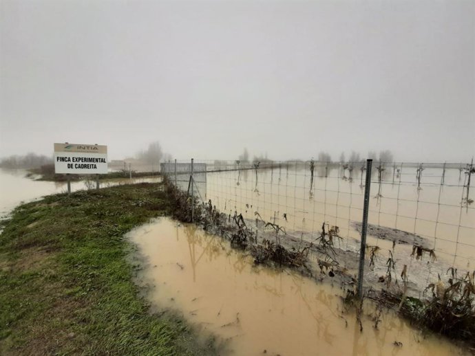 Las inundaciones de diciembre dejan "completamente invalidados" ensayos de INTIA en Cadreita.