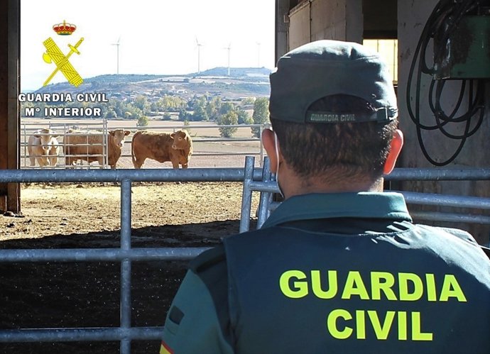 Agente de la Guardia Civil.