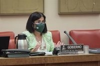 Darias tranquillitza sobre la subvariant d'micron: El seu comportament és semblant