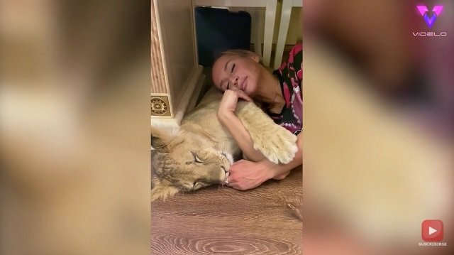 ¿Te Atreverías A Dormir Con Un León? Esta Mujer Rusa Lo Hizo