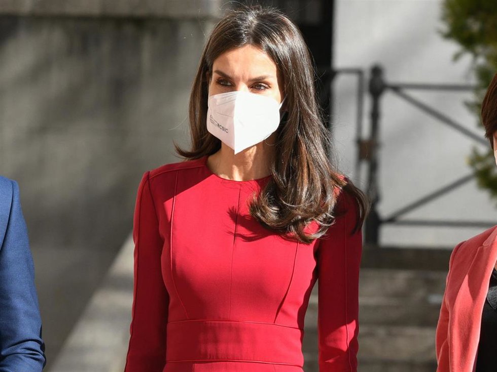 La Reina Letizia, a su llegada al Senado