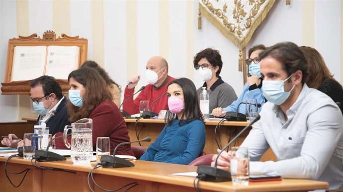 Pleno del Ayuntamiento de Mérida