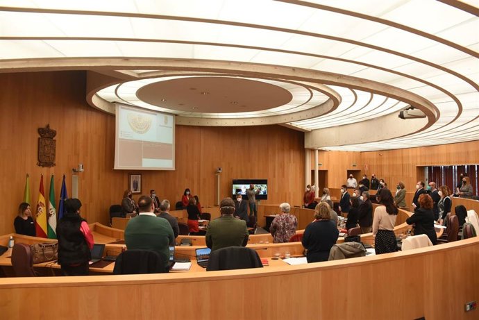 Pleno de la Diputación de Granada.