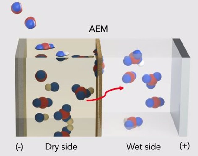 Esquema de funcionamiento de las nuevas hojas artificiales recolectoras de CO2