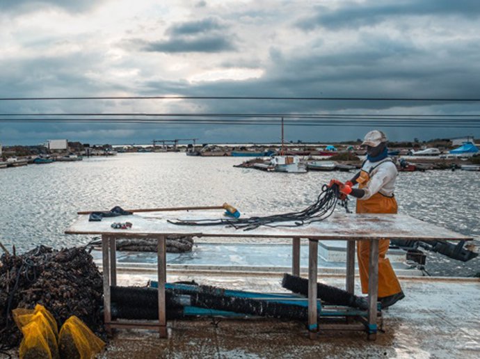 El Síndic recibe 770 quejas relacionadas con la protección de la zona del Delta de l'Ebre