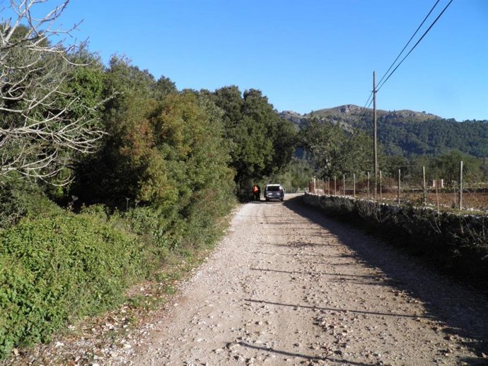 Tramo del camí vell de Lluc a Pollena.