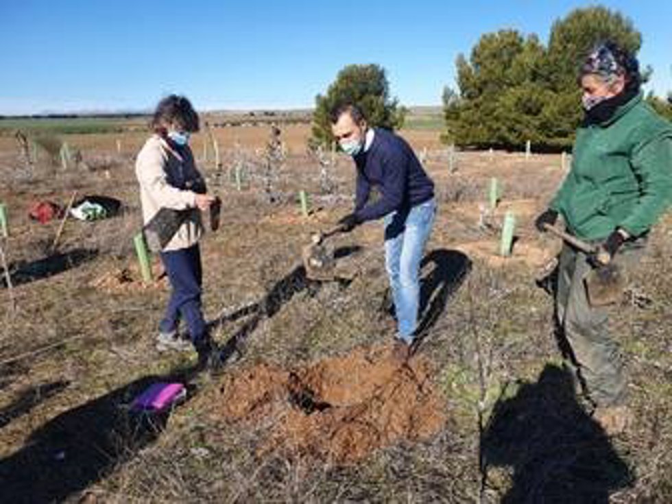 Davide Fanelli, director general de la compañía en España, acudió a la cita con la ONG en Meco (Madrid) para colaborar con sus propias manos en la plantación de la Arboleda de GSK.