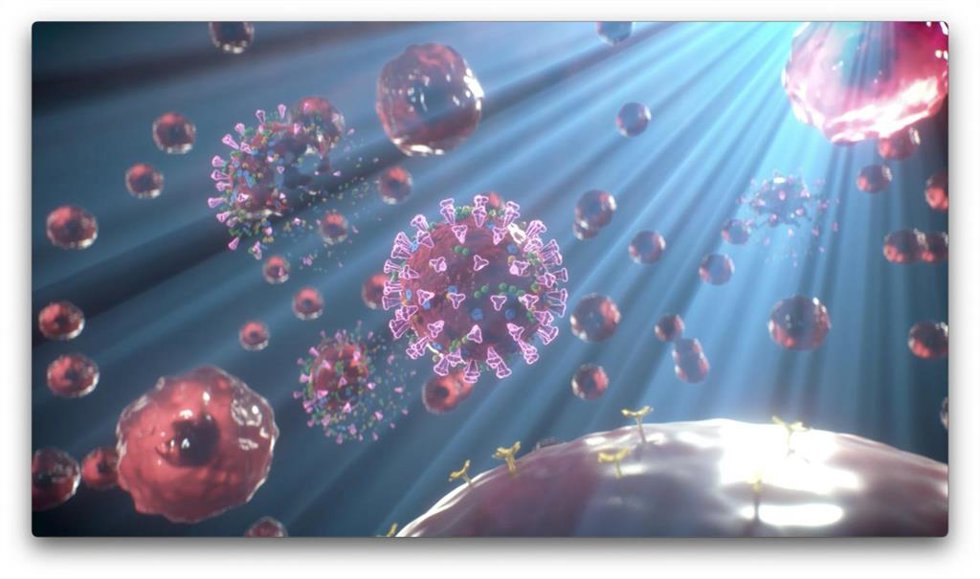 Archivo - Light inactivates SARS-CoV-2