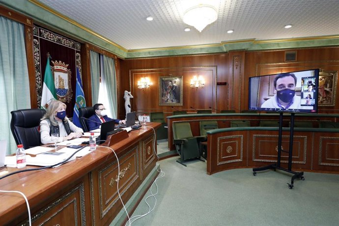 Pleno del Ayuntamiento de Marbella correspondiente al mes de enero