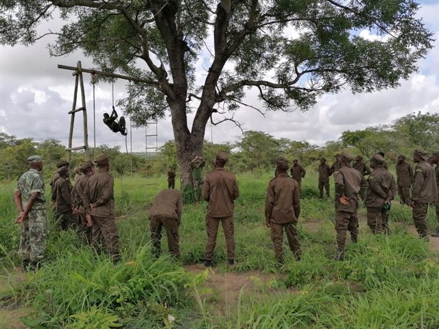 Soldados mozambiqueños reciben entrenamiento de la misión europea EUTM Mozambique