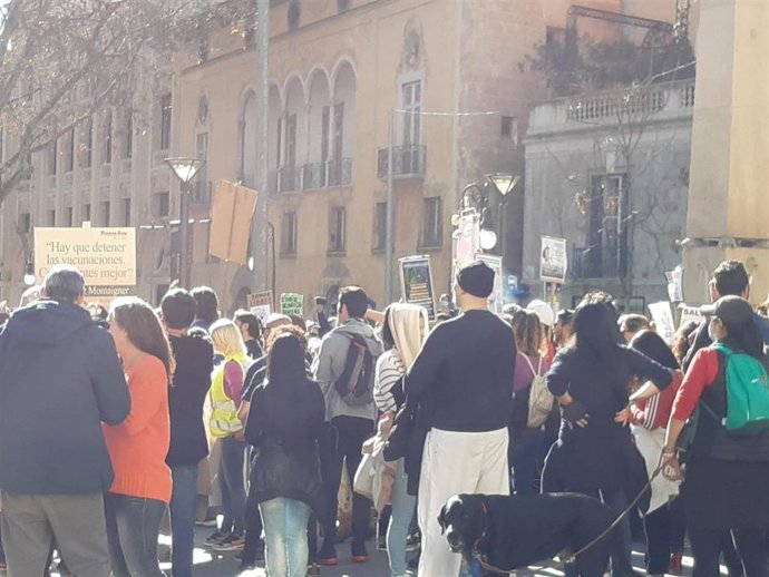 Unas 3.500 personas marchan contra el Pasaporte COVID en Palma.