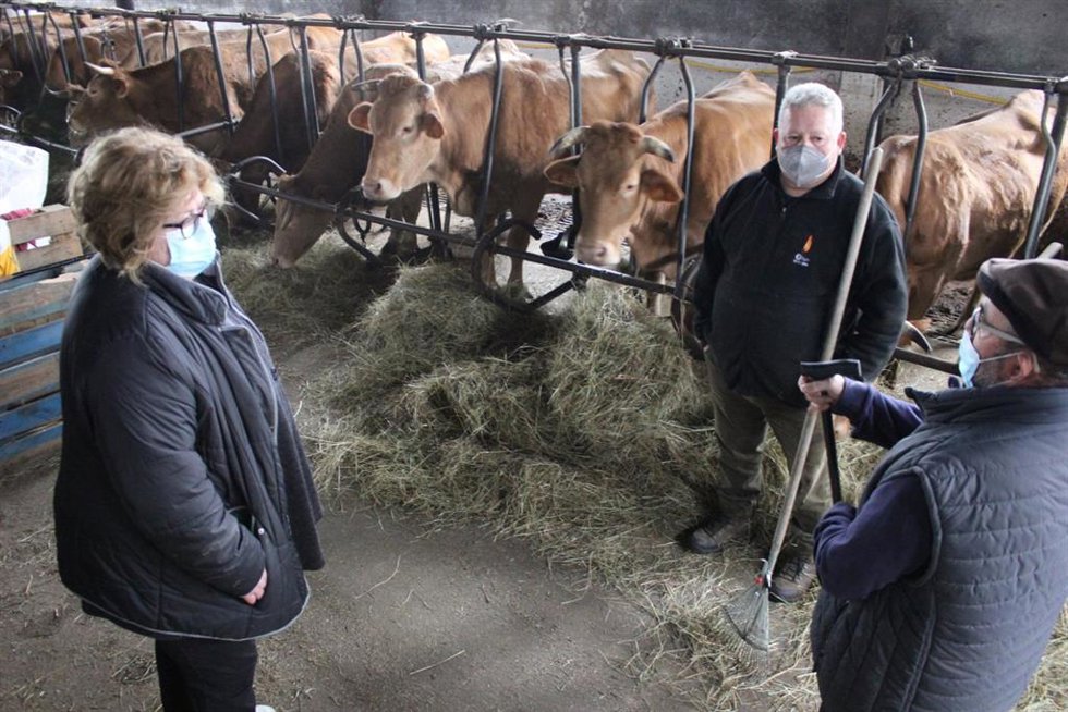 La diputada nacionalista, Carme Aira, visita una explotación ganadera de vacuno en O Corgo