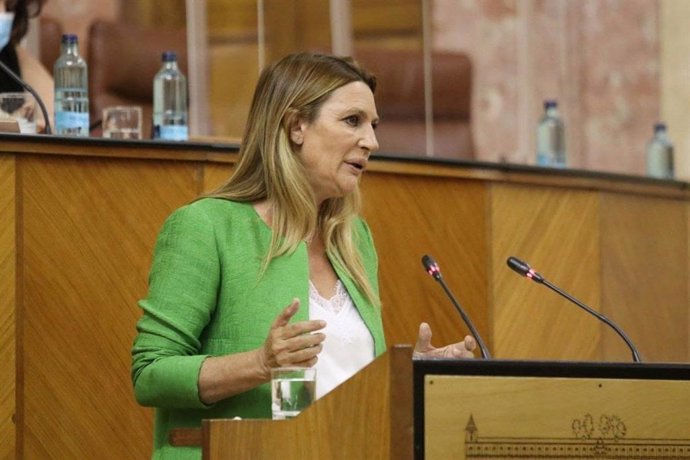 La parlamentaria andaluza de Ciudadanos (Cs) Concha Insúa, en una foto de archivo en el Pleno del Parlamento andaluz.