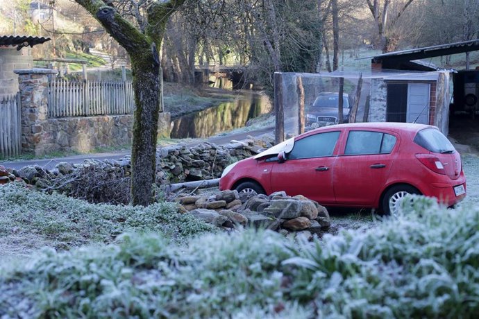 Detalle sobre una hoja y césped helados en el Parque Dos Condes donde su laguna se ha congelado por las bajas temperaturas en Monforte de Lemos, a 26 de enero de 2022, en Lugo, Galicia (España). La laguna amaneció congelada el pasado lunes 24 de enero, 