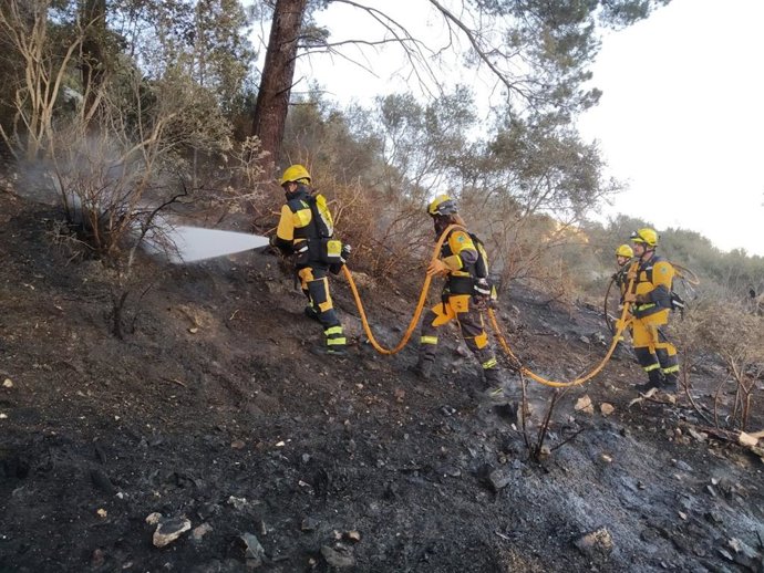 Efectivos del Ibanat sofocan el fuego.