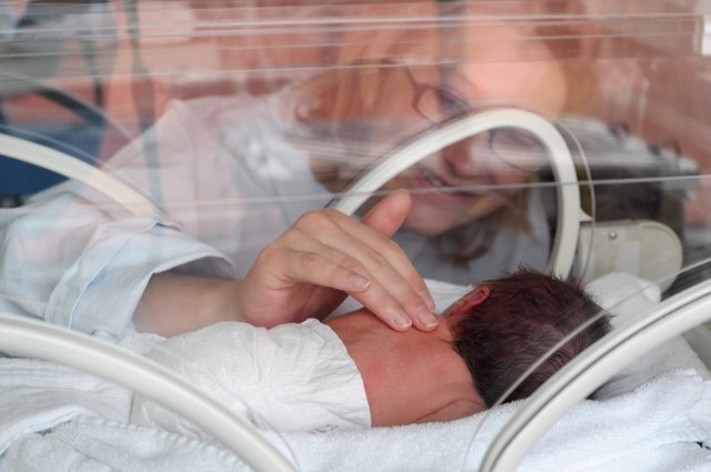 Archivo - Newborn Premature in Incubator
