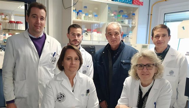 Investigadores de la UJA que participan en el estudio.