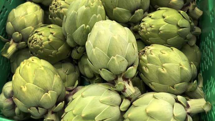Alcachofa de origen España, en el lineal de Mercadona