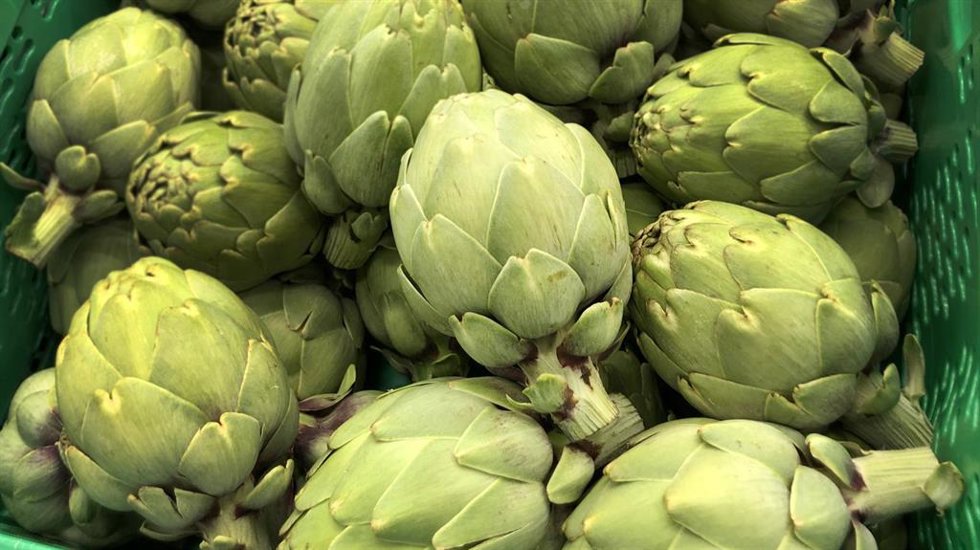 Alcachofa de origen España, en el lineal de Mercadona