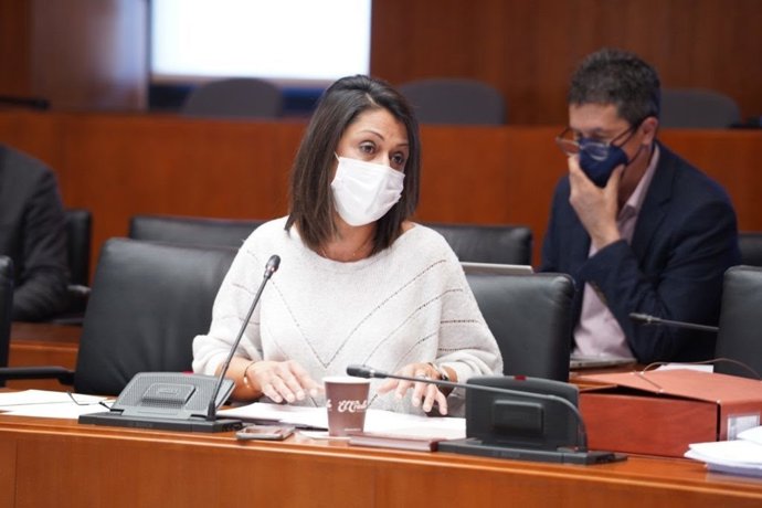La portavoz de Servicios Sociales de Cs Aragón, Loreto Camañes