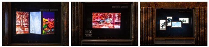 5Th Ave Lunar New Year Windows