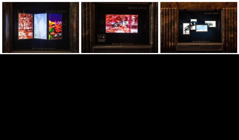 Comunicados Internacional