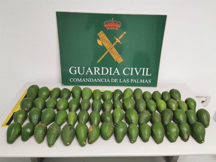 Aguacates incautados