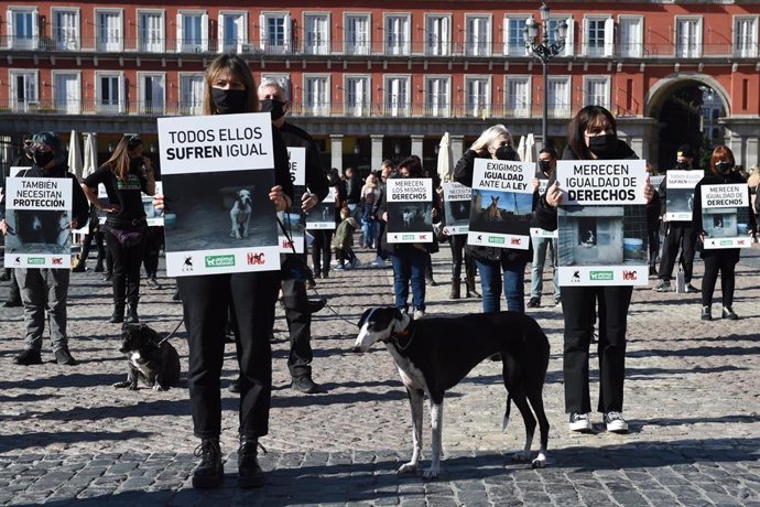 Varias personas con carteles que rezan 'Todos ellos sufren igual' y algunos perros en la protesta convocada por AnimaNaturalis, CAS International y Plataforma No A la Caza (NAC), en la Plaza Mayor, a 30 de enero de 2022, en Madrid 