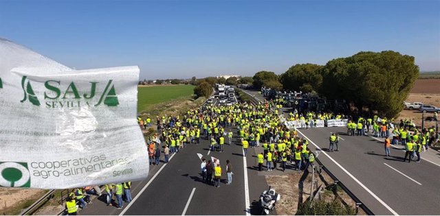 Cortes en la carretera producidos por una protesta del sector agrario andaluz