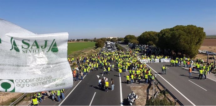 Cortes en la carretera producidos por una protesta del sector agrario andaluz