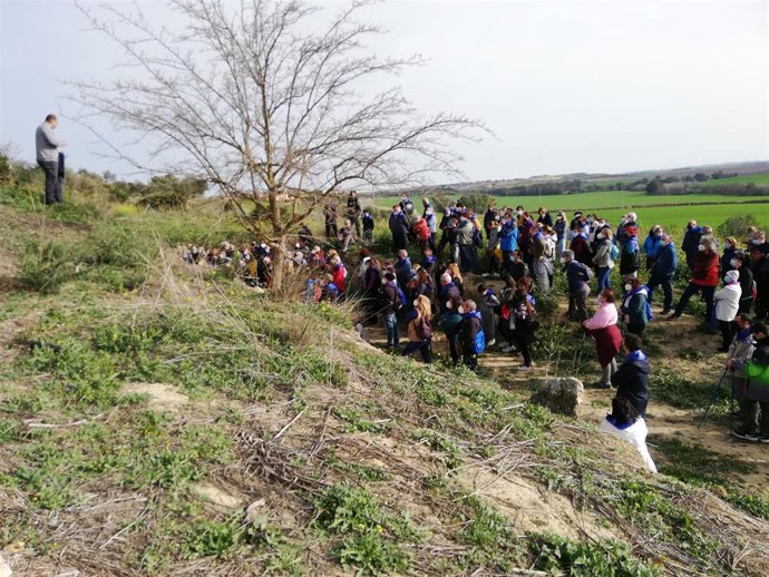 Ruta paleontológica por Alcalá de Guadaíra