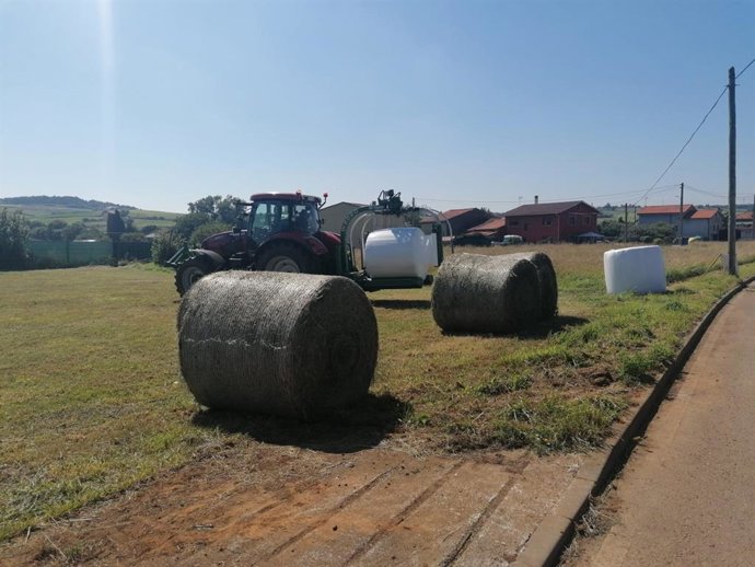 Archivo - Agricultura y ganadería.