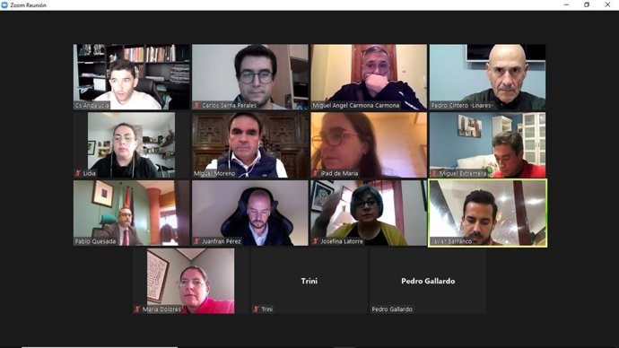 Captura de pantalla de la reunión telemática del comité provincial de Cs-Jaén.