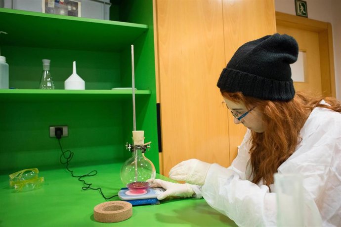 La jornada quiere "dar visibilidad al trabajo de las mujeres científicas y promover la igualdad de género" en este ámbito