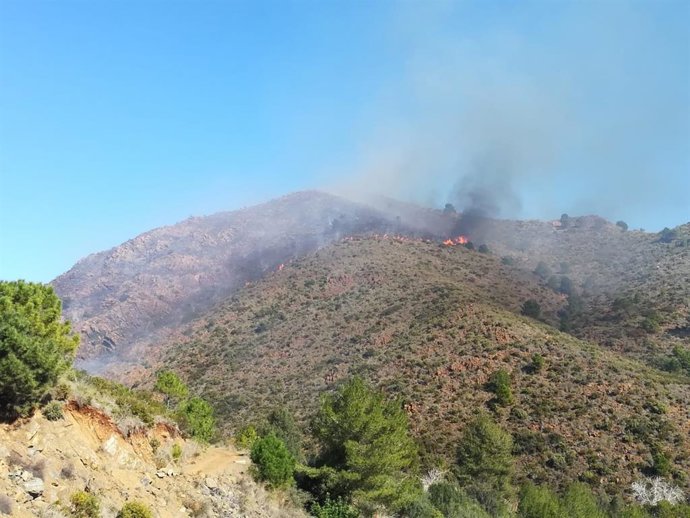 Incendio forestal en Ojén