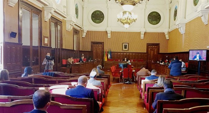 Pleno ordinario de la Diputación.
