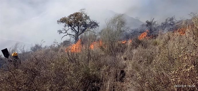 Incendio en el paraje Los Verdiales de Málaga capital