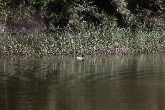 Archivo - Estación Ambiental Madrevieja.